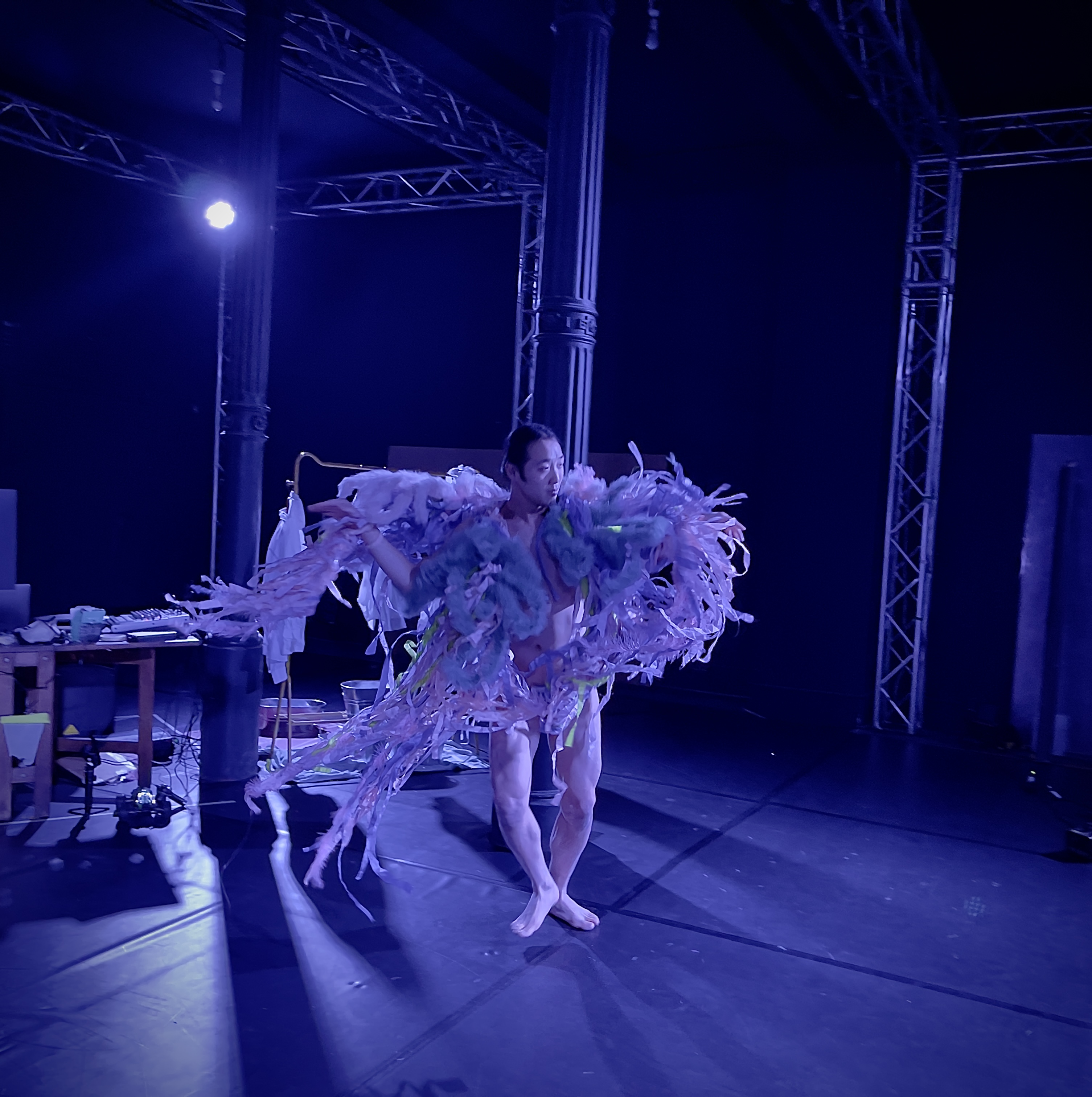 Anibody Performance Image 3